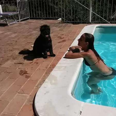 Ca Bubo * Senigallia